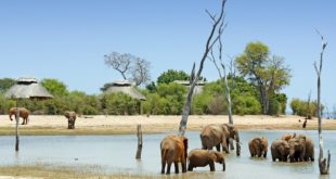 Matusadona Nationalpark (Simbabwe)