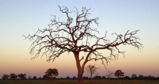 Beste Reisezeit und Klima in Sambia